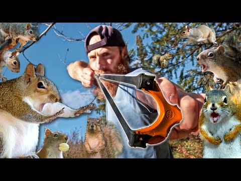 Slingshot Hunting Squirrels (Catch, Clean, Cook!) | Testing Slingshot Darts (Scary Sharp)