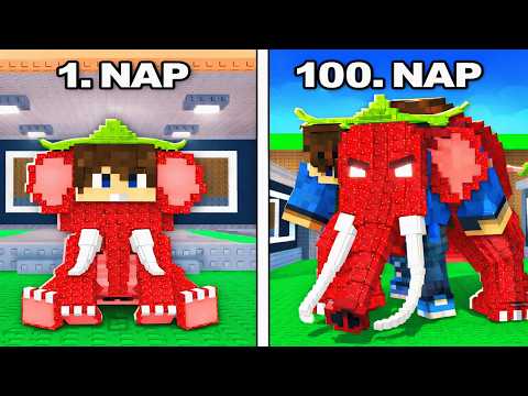 DANI STRAWBERRY ELEPHANT ÉLETE A MINECRAFTBAN!