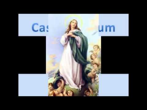 Sr º Exú Carne Crua