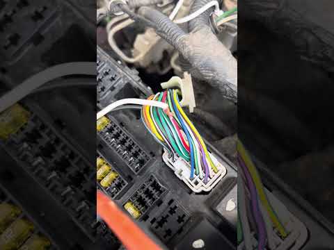 2001 Dodge Dakota NO BUS FIX