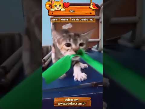 Vídeo de Filó 