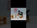 Literally Me Dudes Pingu Relatablecontent Funnymeme