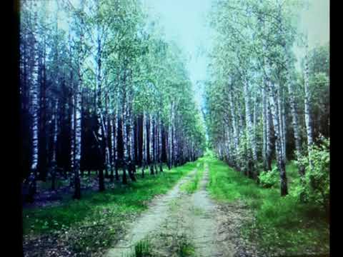 Zabiorę Cię właśnie tam - Piotr Przygocki