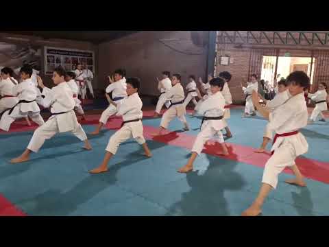 kata training  [ shotokan, shetorio ] in Egypt 🇪🇬 .. c/hang tanib 🥋