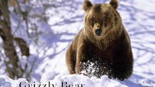 Bill Monroe ::: Footprints In The Snow (with lyrics)