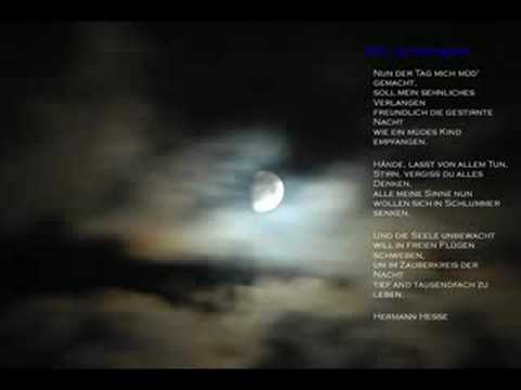 Musical - Linie 1 - Tag, ich hasse dich!