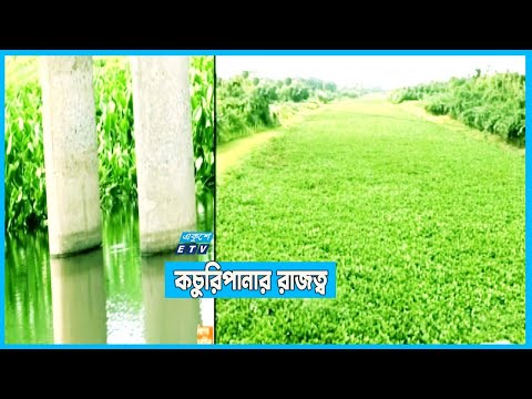 দূষিত পানি ও বর্জ্যে দুর্ভোগ বেড়েছে