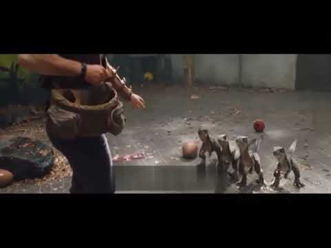 Baby Blue, Charlie, Echo, And Delta Training Video