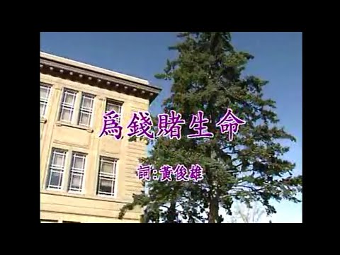 陳小雲 - 為錢賭生命