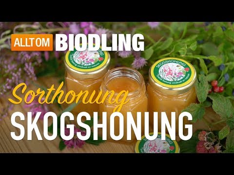 Skogshonung - Sorthonung - Honung
