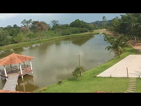 Serviços na fazenda xinguara para
