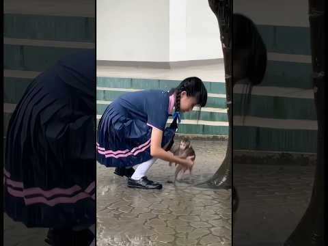 เจอลูกลิงตากฝน...พาไปโรงเรียนด้วย #ดีไซน์คิดส์ทีวี