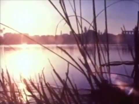 Mental Minority - Unclouded - Video by continental851