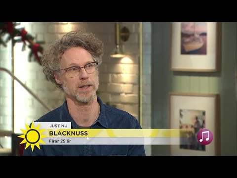 Blacknuss firar 25 år - så har bandet lyckats  - Nyhetsmorgon (TV4)