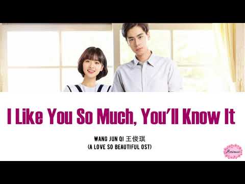 Wang Jun Qi 王俊琪 - I Like You So Much, You'll Know It Lyrics Pinyin & Eng (A Love So Beautiful OST)