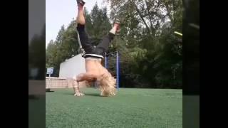 faze tari sta in maini