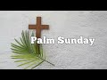 Palm Sunday Whatsapp Status Randys Time