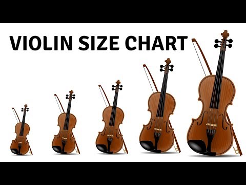 Segna Posizioni Per Violino 3/4 E Viola 13&Prime; First Frets