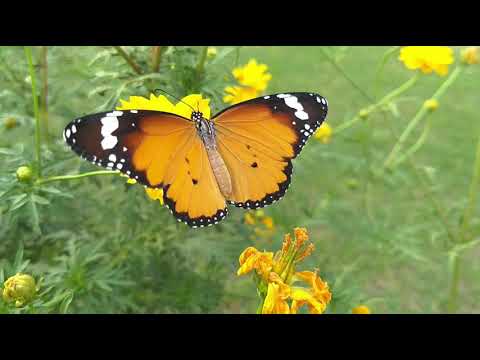 # Nature # Good feeling #