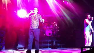311 wild nights