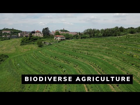 Camila Arza Garcia - Biodiverse Agriculture