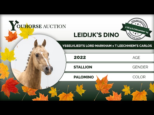 Leidijk’s Dino with children