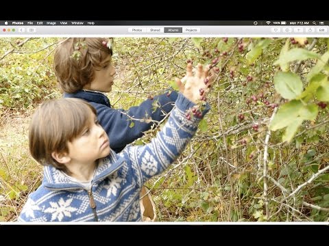 Making hawthorn fruit leather