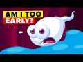 What Is Pre Ejaculate Fluid