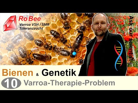 , title : '10) Bienen & Genetik, Varroa tolerant, tausende Bienenvölker in Kuba und Unterschiede zu Europa'