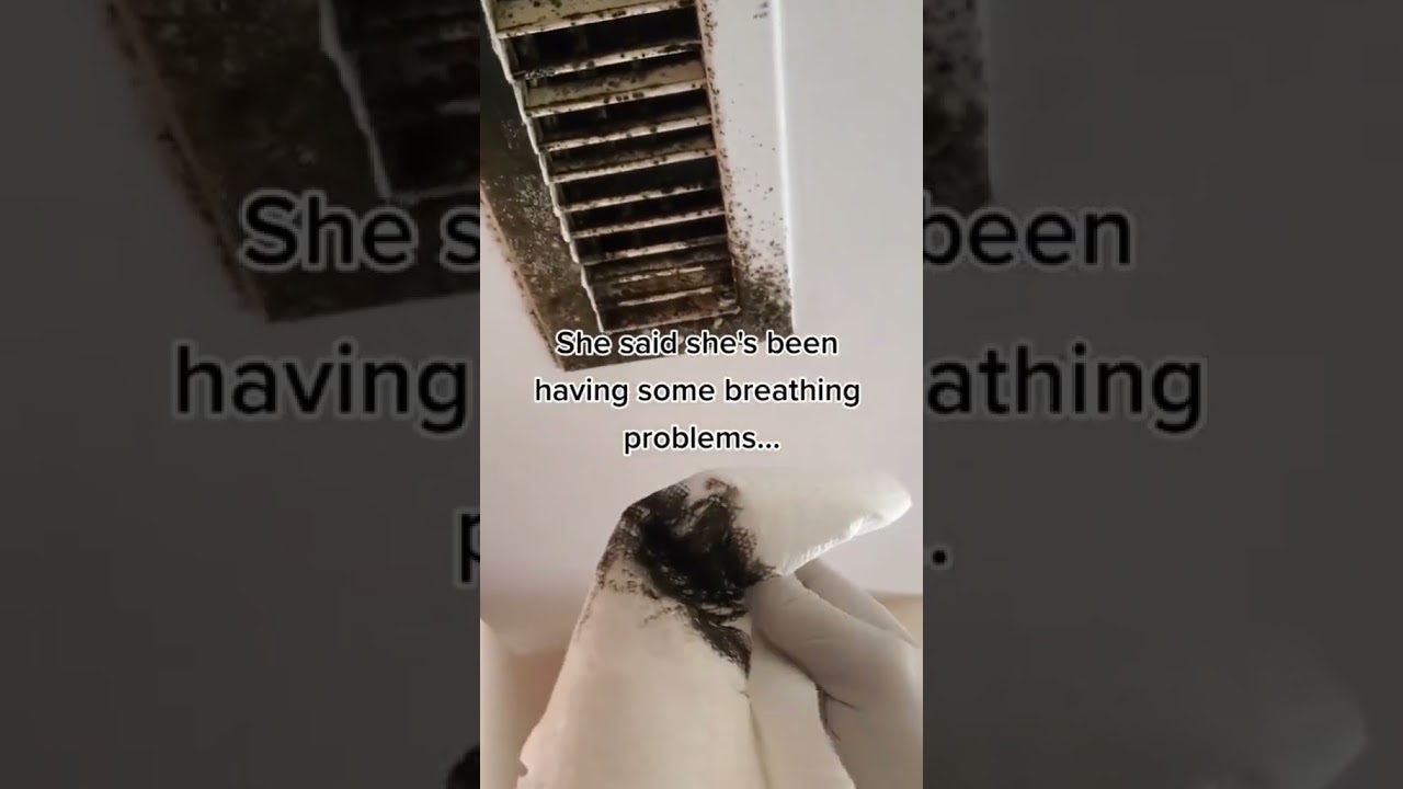 part 18 | Mold is everywhere but this is unacceptable