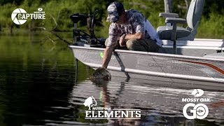 Bobby Cole Bass Fishing - Elements