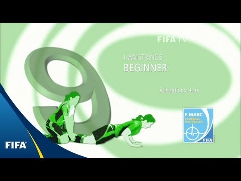 Nordic Hamstring Curl — Beginner