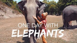 One Day with Elephants # Vlog3 | Elephant Jungle Sanctuary