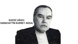 Gazoz Ağacı - Sabahattin Kudret Aksal (Sesli eser özeti)