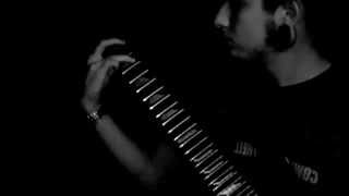 Assemblage of wolves guitar cover