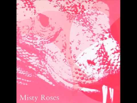 Misty Roses - 