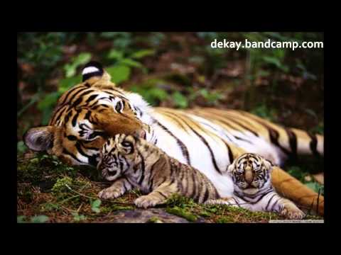 Save The Tigers ft. Rukas and MIDI Intellect