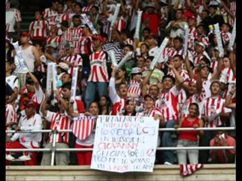 MOSAICO TIBURON --- JUNIOR DE BARRANQUILLA