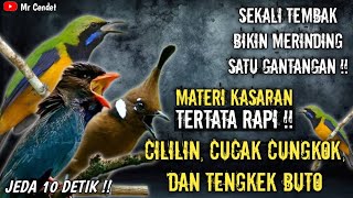 Download lagu NGERIII..!!MATERI KASARAN TEMBAKAN CILILIN, CUCAK CUNGKOK, DAN TENGKEK BUTO !! mp3