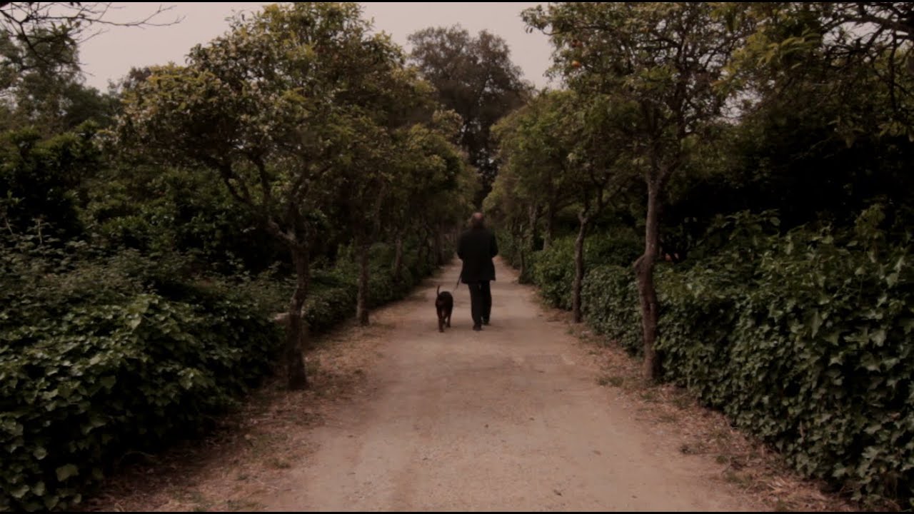 The Last Grain (2017) | Short Film | Drama