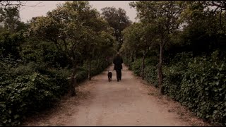 The Last Grain (2017) | Short Film | Drama