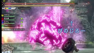 【モンハン】お星さまになったピノジロー