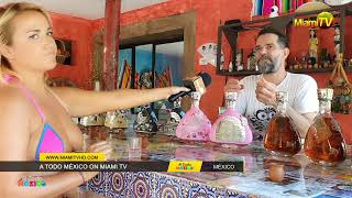 Miami TV - Jenny Scordamaglia en Tequila Factory C