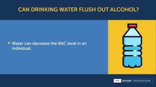 Can drinking water flush out alcohol?