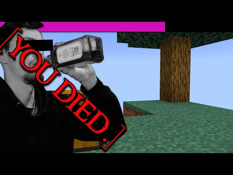 Minecraft Skyblock Chaos Mod was a mistake