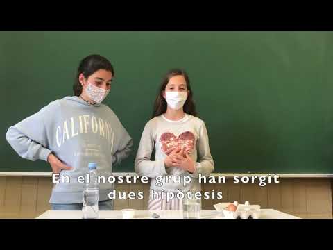 Surem millor a la piscina o a la platja? - Jesuïtes Sarrià Sant Ignasi (Barcelona)