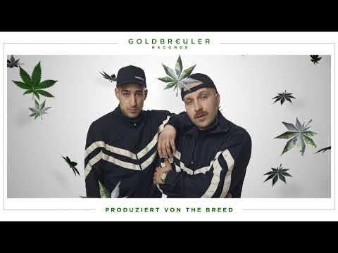 PLUSMACHER - JIBBITS feat. Botanikker ► Prod. The BREED (Official Audio)