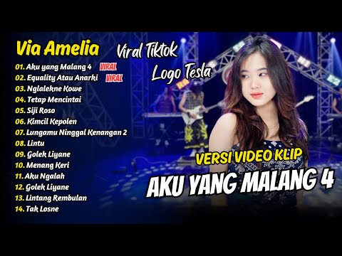 VIA AMELIA FULL ALBUM - AKU YANG MALANG 4 - EQUALITY ATAU ANARKI | DANGDUT KOPLO