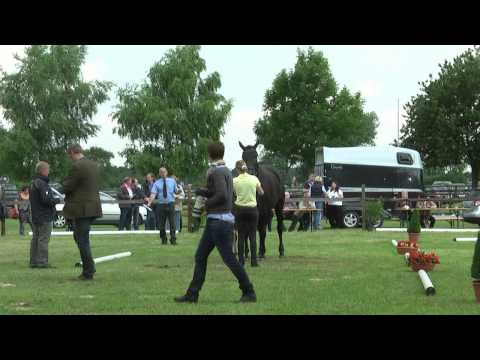 Sudweyher Fohlenschau 2014 - Kat.-Nr. 55