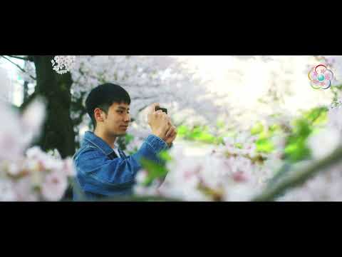 弘前大学イメージムービー「学ぶ街は、暮らす街でもある。」（2021年 short ver.）